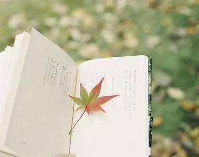 讀書，也是一種旅行——企業(yè)管理視角下的閱讀智慧